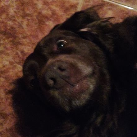 angeela_leeal's profile picture. Don't worry be happy, fuck everything