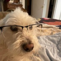 Kevin Edney (@kevin_edney) 's Twitter Profile