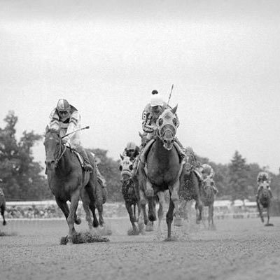 Horse racing fan