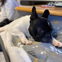 nori (@whyisreo) Twitter profile photo