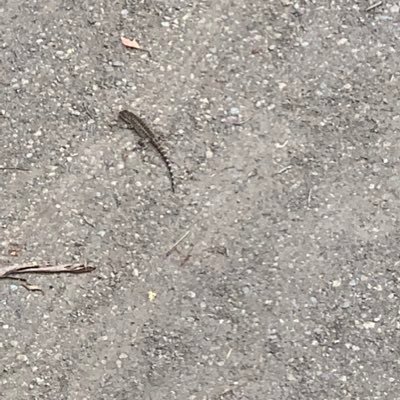 Alphonse2Wesley's profile picture. Analytical thinker