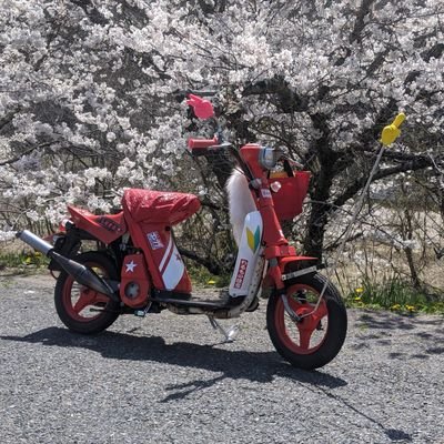 aGblT78yByueNme's profile picture. 小さいレトロバイクをメインに遊んでます💨💨💨
個人で小さなグループしてます❗参加自由です❗😂👍
無言フォロー失礼しますよ🙇‍♂笑
クラブマン🏍カフェレーサー仕様とパッソルも仲間入りしましたぁ❗😁👍
笠岡 岡本部品🔧
