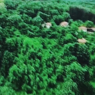 Mbed09694811's profile picture. 