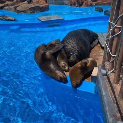 Gibson20883276's profile picture. 