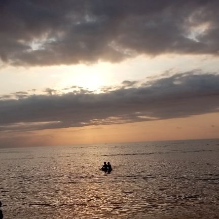 admirer_ace's profile picture. 