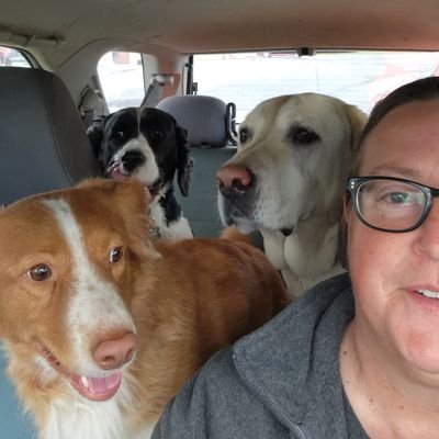 limabeanfarm's profile picture. beans beat beets :
Golden Girls aficionado : Desert Shield/Storm vet : Instructor for Antifa can throwing team