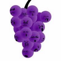 Confused Grapes (@grapesconfused) 's Twitter Profile
