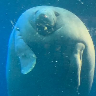 味琳(∀)さんのプロフィール画像