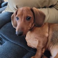 Scott (@scott03675582) 's Twitter Profile