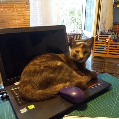 Zanaistanbul's profile picture. Berxwedan Jiyan e... Endezyar, feylezofi