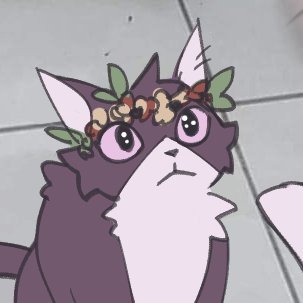 sticken/rowan • 27 • they/he • professional cat interactor and friend •
✡ anti-zionist