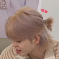 쿱따뚜이 (@cseungcheolie) 's Twitter Profile