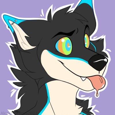 WAFF GmbHさんのプロフィール画像