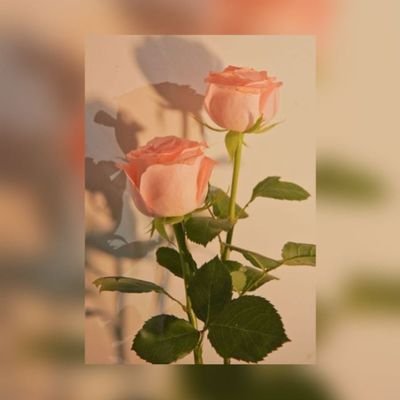 estriest's profile picture. 