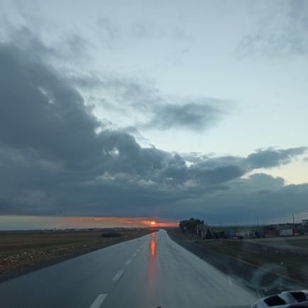 Tamcoder's profile picture. 