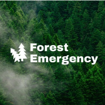 ForestEmergency Profile Picture