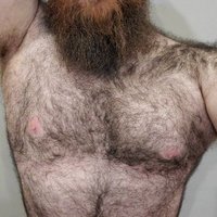 Bearbot 69000 (@cubpoint) 's Twitter Profile