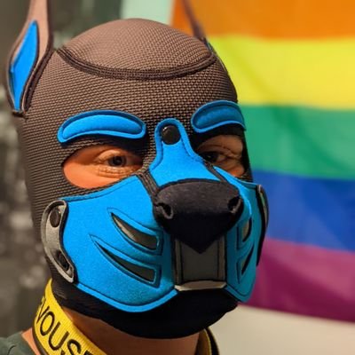 18+ only| 21 | nsfw | taken (closed) | bf @pup_casey | he/him/pup | kinky as fuckkkk | pup & furry | Anyone got a bone?