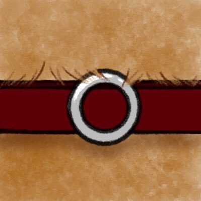 いぬさんのプロフィール画像