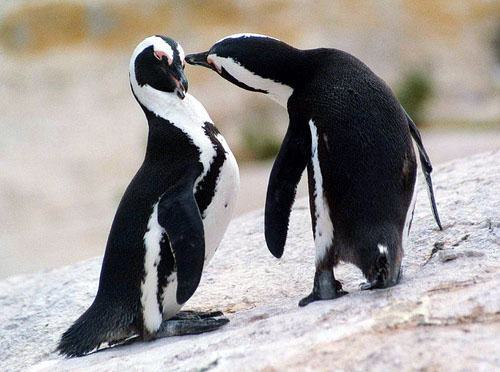 75Glenbeach's profile picture. 