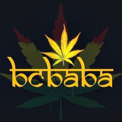 bcbabaofficial Profile Picture