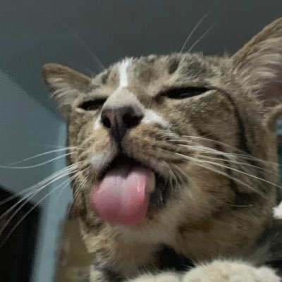 fuwasoftnsweet's profile picture. 25↑ he/they 🔞 and get back in the game