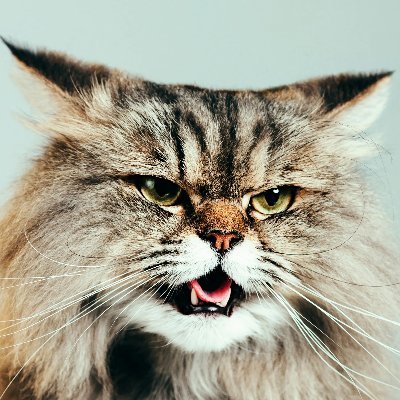 CooleyAlbapsp's profile picture. Strong makes us stronger