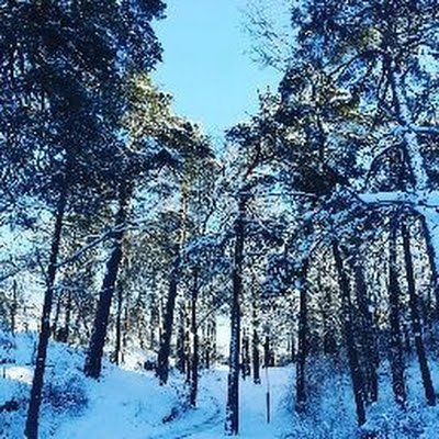 NuriS26518529's profile picture. 