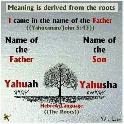 FerdinandMarku8's profile picture. May Lord God,namely Jesus Christ always lead me to come forward to. Amen.