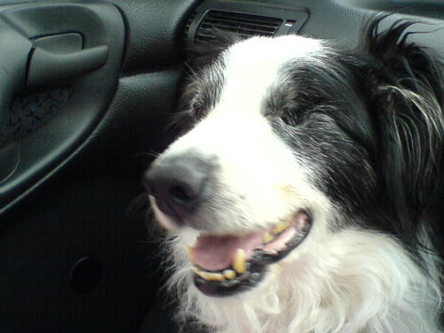 Spudz100's profile picture. Addicted to running & exercise. Follow Leeds United & Cas Tigers