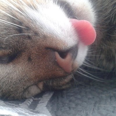 Tokarz666's profile picture. Farmer from a nice place on earth )