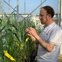 The Wheat Breeder (@kertonmc) 's Twitter Profile Photo The Wheat Breeder (@kertonmc) 's Twitter Profile Photo