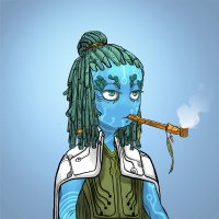 APH.SyinCin (@degennobu) 's Twitter Profile