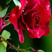 ايمن (@abmn_al) 's Twitter Profile