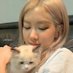Kara (@qall_9988) Twitter profile photo Kara (@qall_9988) Twitter profile photo