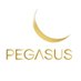 Pegasus (@pegasusworldsrl) Twitter profile photo