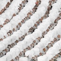 A (@aya_al199) Twitter profile photo