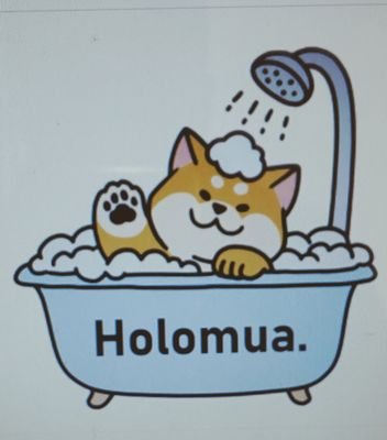 holomua.ooarai　ホロムアさんのプロフィール画像