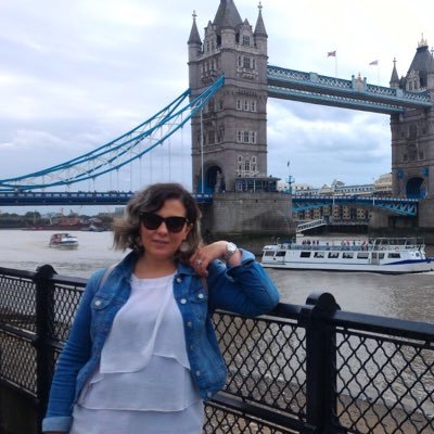 Elfinmaz's profile picture. Öğretim Üyesi