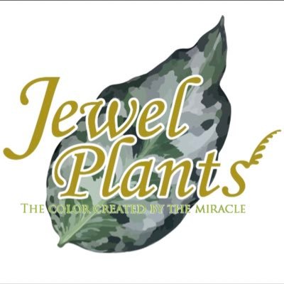 Jewel Plants Gifu (@Jewel_Plants) / Posts and Replies / X