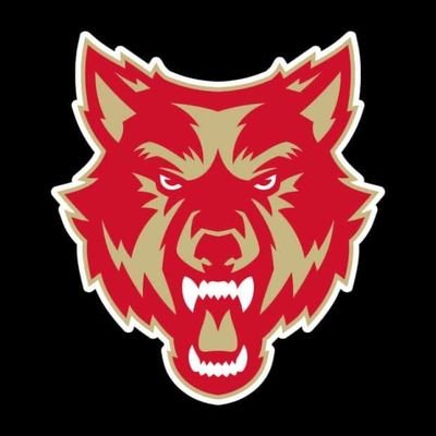 ROME WOLVES πΊπΎ Profile