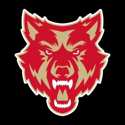 AllRomeWolves Profile Picture