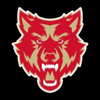 ROME WOLVES 🐺(@AllRomeWolves) 's Twitter Profile Photo