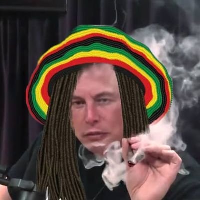 OrbitHotbox's profile picture. Out to spread love in the galaxy by means of laws of astrophysics and ancient herbalist magic