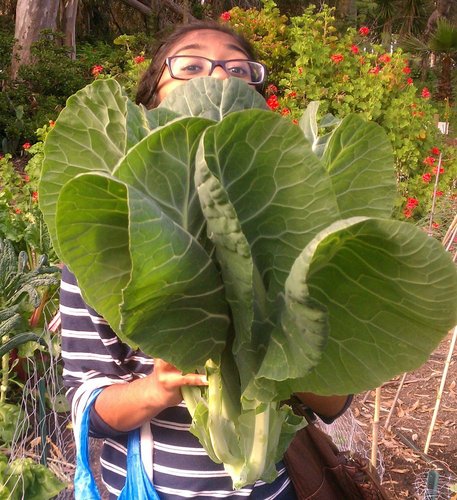 arthirad's profile picture. what.