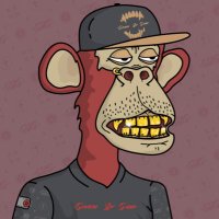 Customized Experiences (@cuszedexpces) 's Twitter Profile