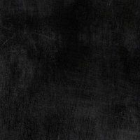 Zehra Dur (@lavei_nft) 's Twitter Profile