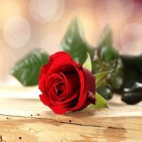 ‏᷂ابوي،تـاج،راسـي 💞💞 (@ja_op0) Twitter profile photo