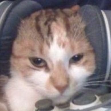 𝐒𝐈𝐍さんのプロフィール画像