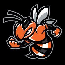 Official Twitter Page for Leesburg(FL) Yellow Jacket Football 🐝🏈 State Champs 1928,1929,1934 State Runner Up 1927 💍District Champs 2013-14’ 🏆